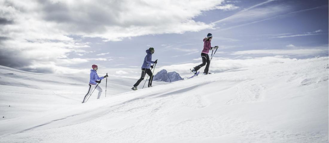 Snowshoe hike