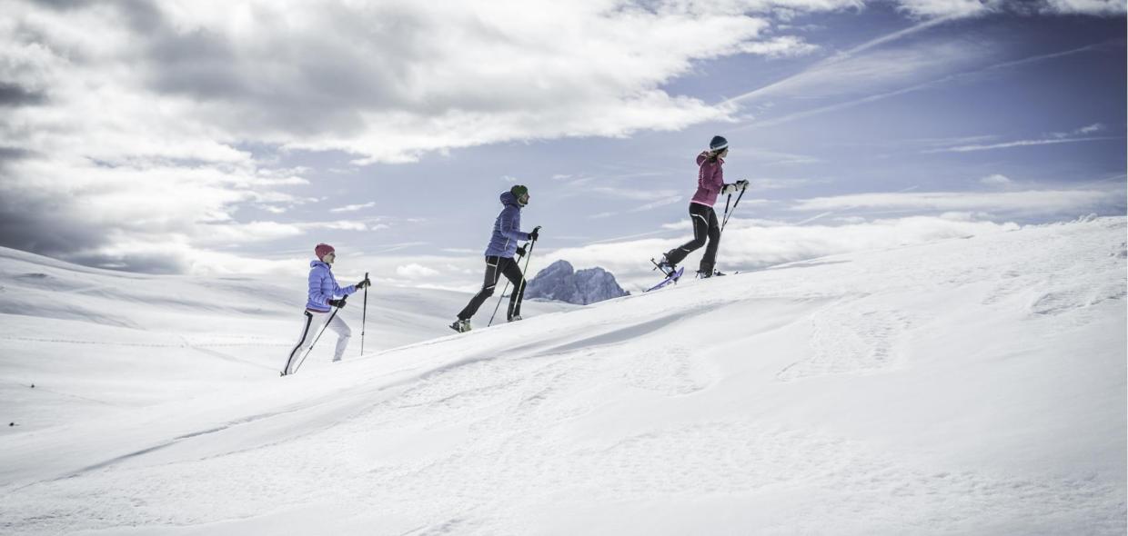 Snowshoe hike