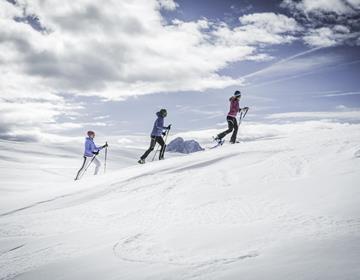 Snowshoe hike